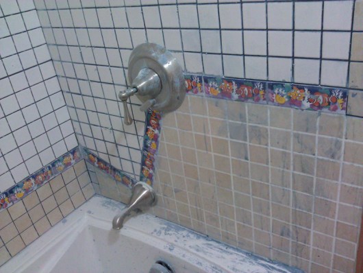 bluegrout